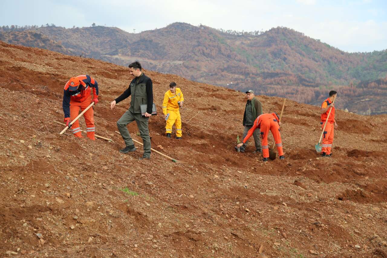 Muğla Orman Bölge Müdürlüğü 11 Kasım’da Yeşil Vatan İçin Seferber Oluyor 7